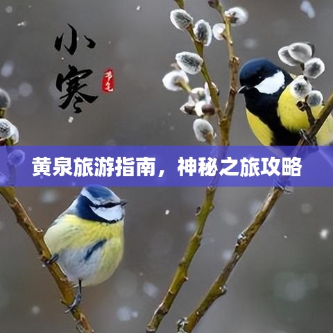 黄泉旅游指南，神秘之旅攻略