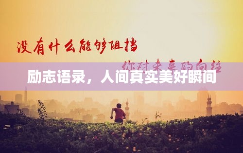励志语录，人间真实美好瞬间