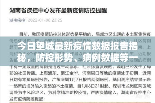 今日望城最新疫情数据报告揭秘，防控形势、病例数据等一网打尽！