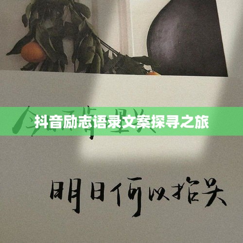 抖音励志语录文案探寻之旅