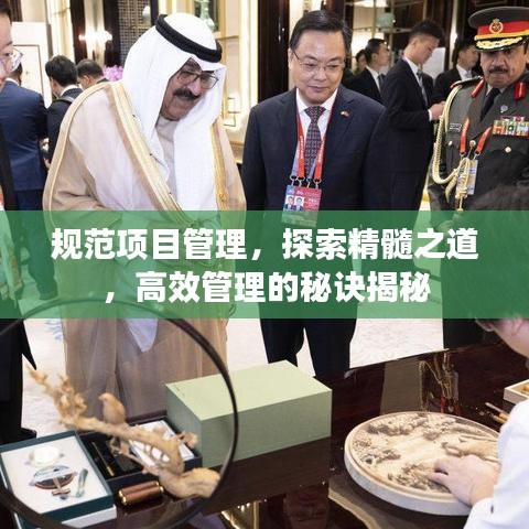 规范项目管理，探索精髓之道，高效管理的秘诀揭秘