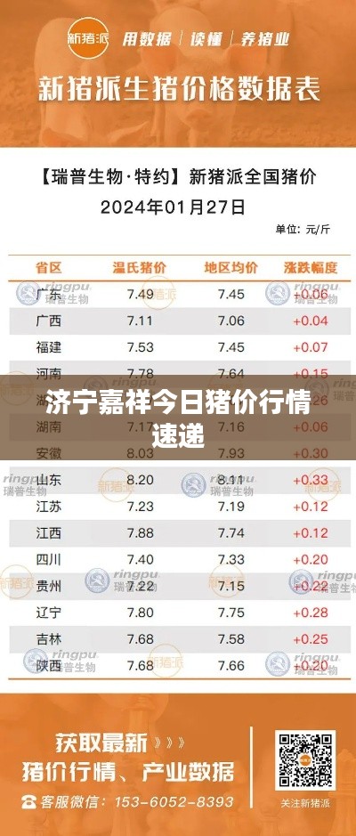 济宁嘉祥今日猪价行情速递