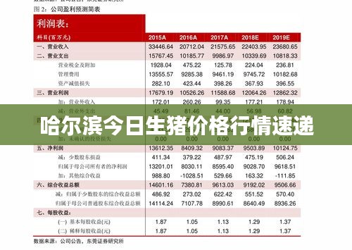 2025年6月7日 第3页