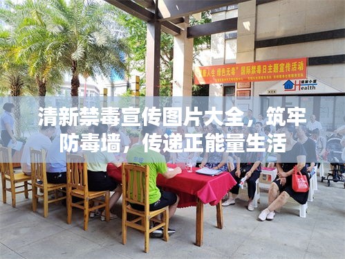 联系我们 第7页