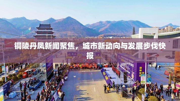 铜陵丹凤新闻聚焦，城市新动向与发展步伐快报