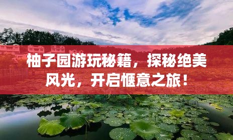 柚子园游玩秘籍，探秘绝美风光，开启惬意之旅！