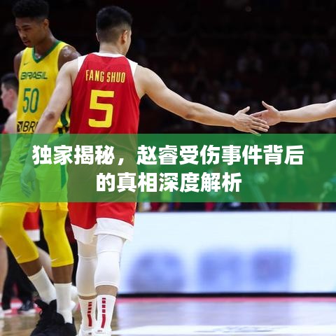 独家揭秘，赵睿受伤事件背后的真相深度解析