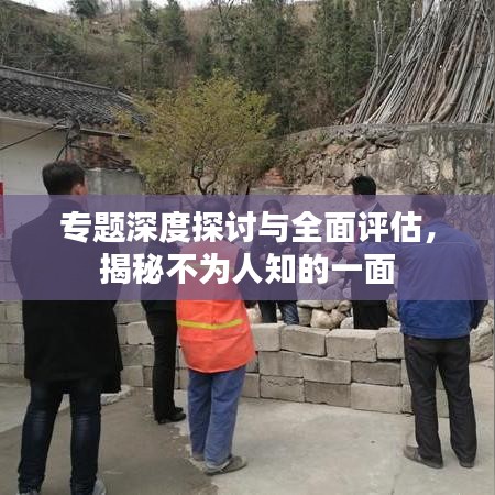 专题深度探讨与全面评估，揭秘不为人知的一面