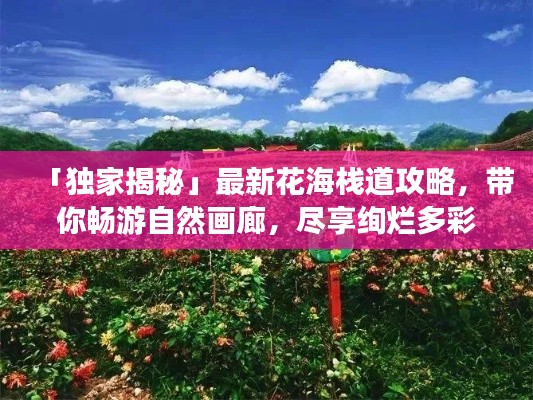 「独家揭秘」最新花海栈道攻略，带你畅游自然画廊，尽享绚烂多彩之旅！