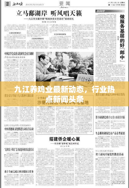 九江养鸡业最新动态，行业热点新闻头条