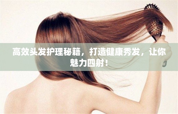 高效头发护理秘籍，打造健康秀发，让你魅力四射！