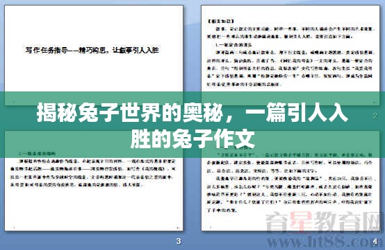 揭秘兔子世界的奥秘，一篇引人入胜的兔子作文