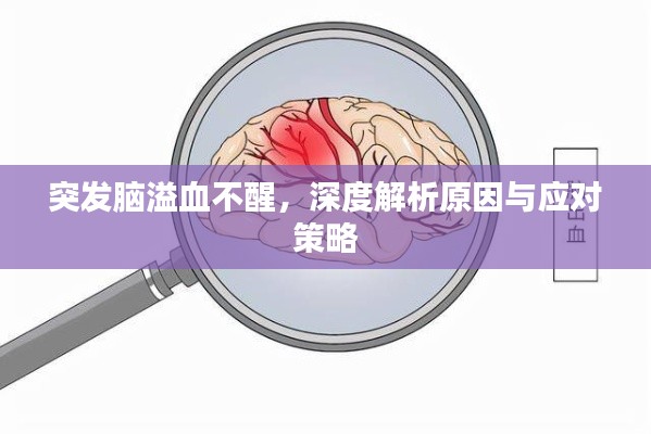 突发脑溢血不醒，深度解析原因与应对策略