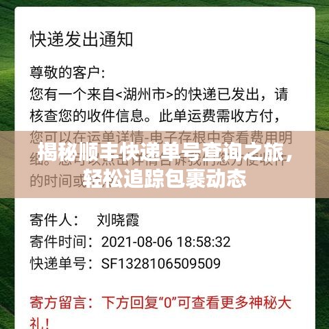 揭秘顺丰快递单号查询之旅，轻松追踪包裹动态