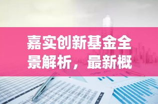 嘉实创新基金全景解析，最新概况与公告权威解读