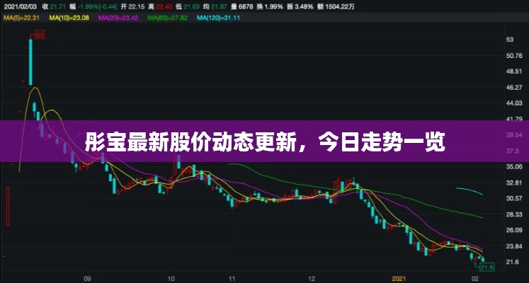 彤宝最新股价动态更新，今日走势一览