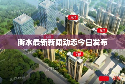 衡水最新新闻动态今日发布