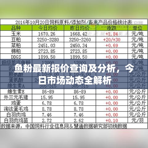 鱼粉最新报价查询及分析，今日市场动态全解析