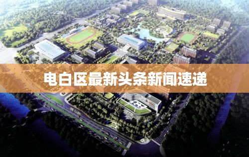 电白区最新头条新闻速递