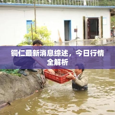铜仁最新消息综述，今日行情全解析