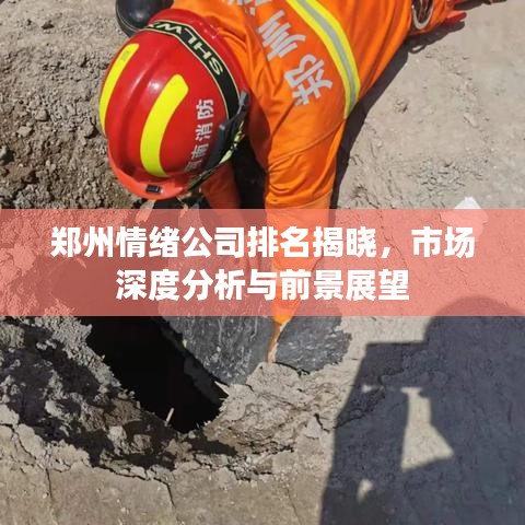 郑州情绪公司排名揭晓，市场深度分析与前景展望