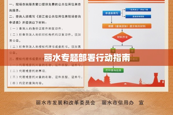 丽水专题部署行动指南