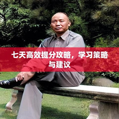 七天高效提分攻略，学习策略与建议