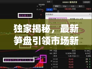 独家揭秘，最新笋盘引领市场新动向，投资新潮流重磅来袭