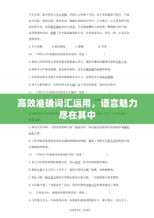 高效准确词汇运用，语言魅力尽在其中