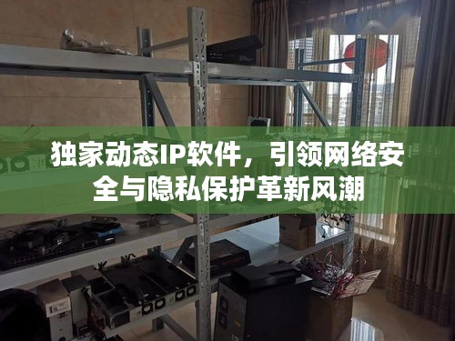 独家动态IP软件，引领网络安全与隐私保护革新风潮