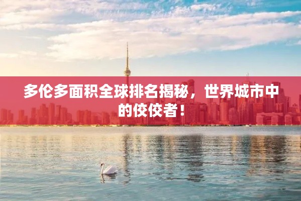 多伦多面积全球排名揭秘，世界城市中的佼佼者！