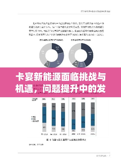 卡宴新能源面临挑战与机遇，问题提升中的发展之路