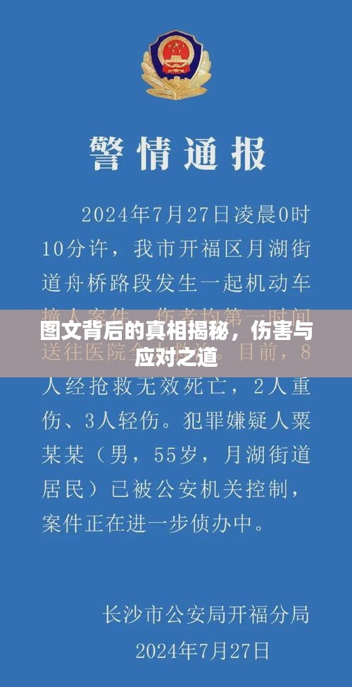 图文背后的真相揭秘，伤害与应对之道