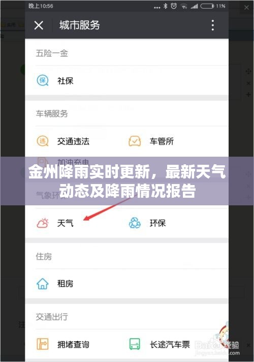 金州降雨实时更新，最新天气动态及降雨情况报告