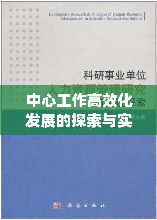 中心工作高效化发展的探索与实践，实践路径与成效研究