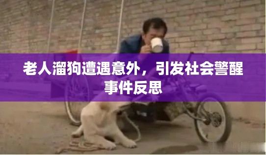 老人溜狗遭遇意外，引发社会警醒事件反思