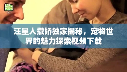 汪星人撒娇独家揭秘，宠物世界的魅力探索视频下载