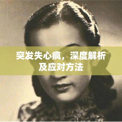 突发失心疯，深度解析及应对方法