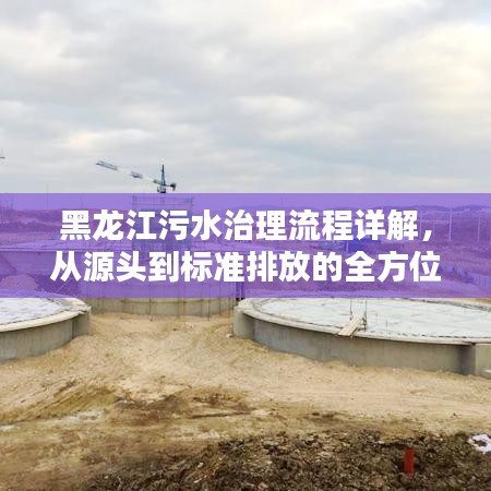 黑龙江污水治理流程详解，从源头到标准排放的全方位规范