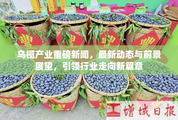 乌榄产业重磅新闻，最新动态与前景展望，引领行业走向新篇章