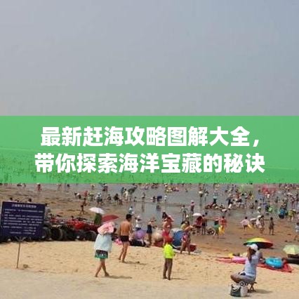 最新赶海攻略图解大全，带你探索海洋宝藏的秘诀！
