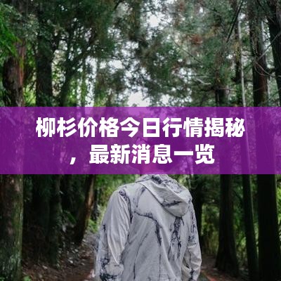 2025年6月26日