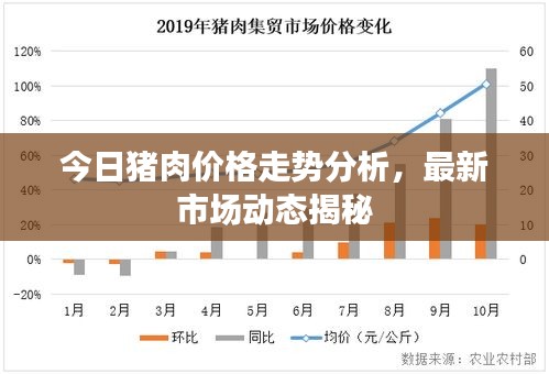 今日猪肉价格走势分析，最新市场动态揭秘