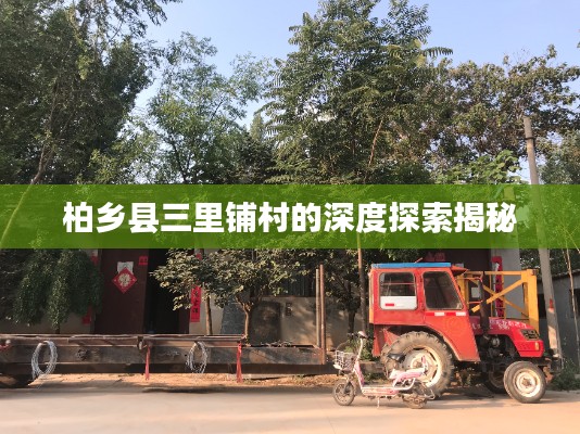 柏乡县三里铺村的深度探索揭秘