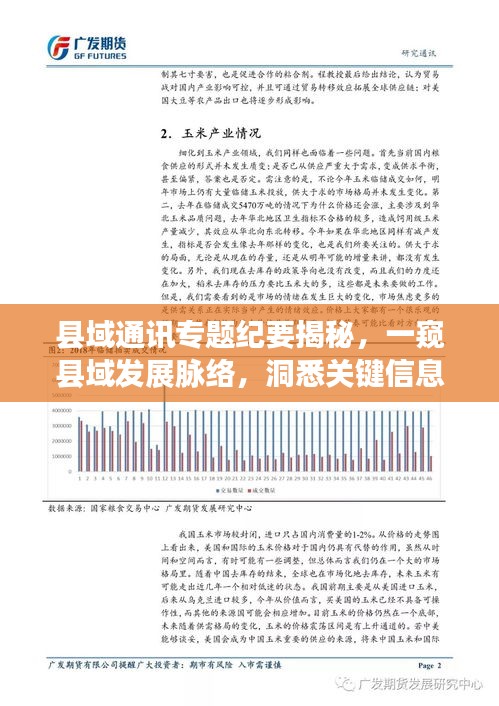 县域通讯专题纪要揭秘，一窥县域发展脉络，洞悉关键信息全貌