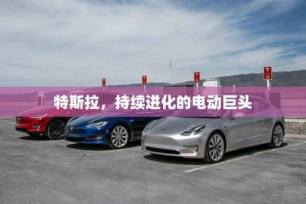 特斯拉，持续进化的电动巨头