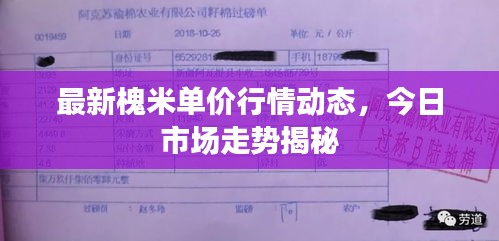最新槐米单价行情动态，今日市场走势揭秘
