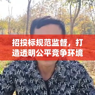 招投标规范监督，打造透明公平竞争环境